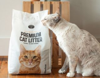 litter_2_1