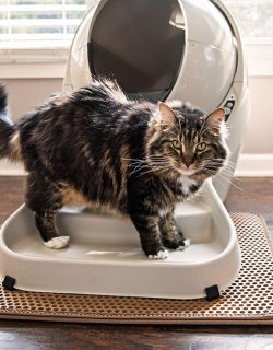 litter_trap_mat_2